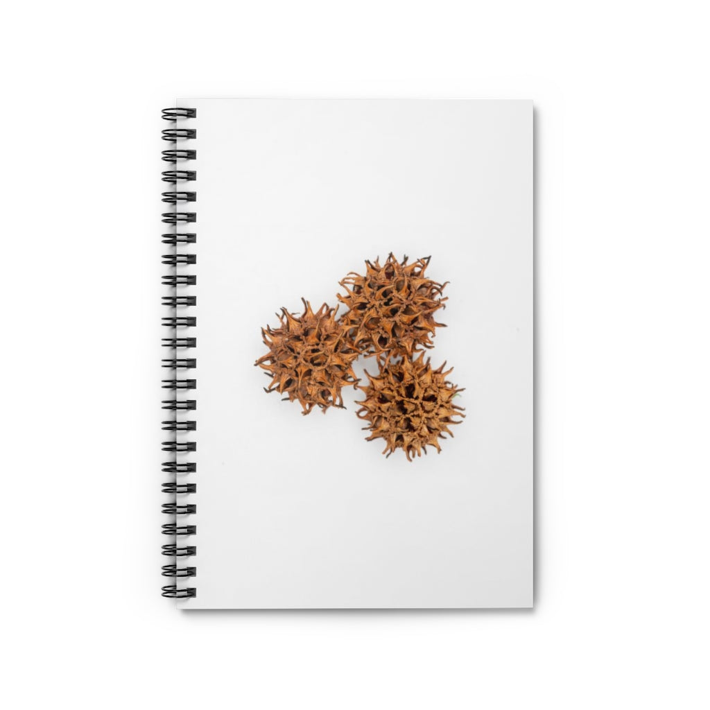 Spiky Spiral Ruled Notebook