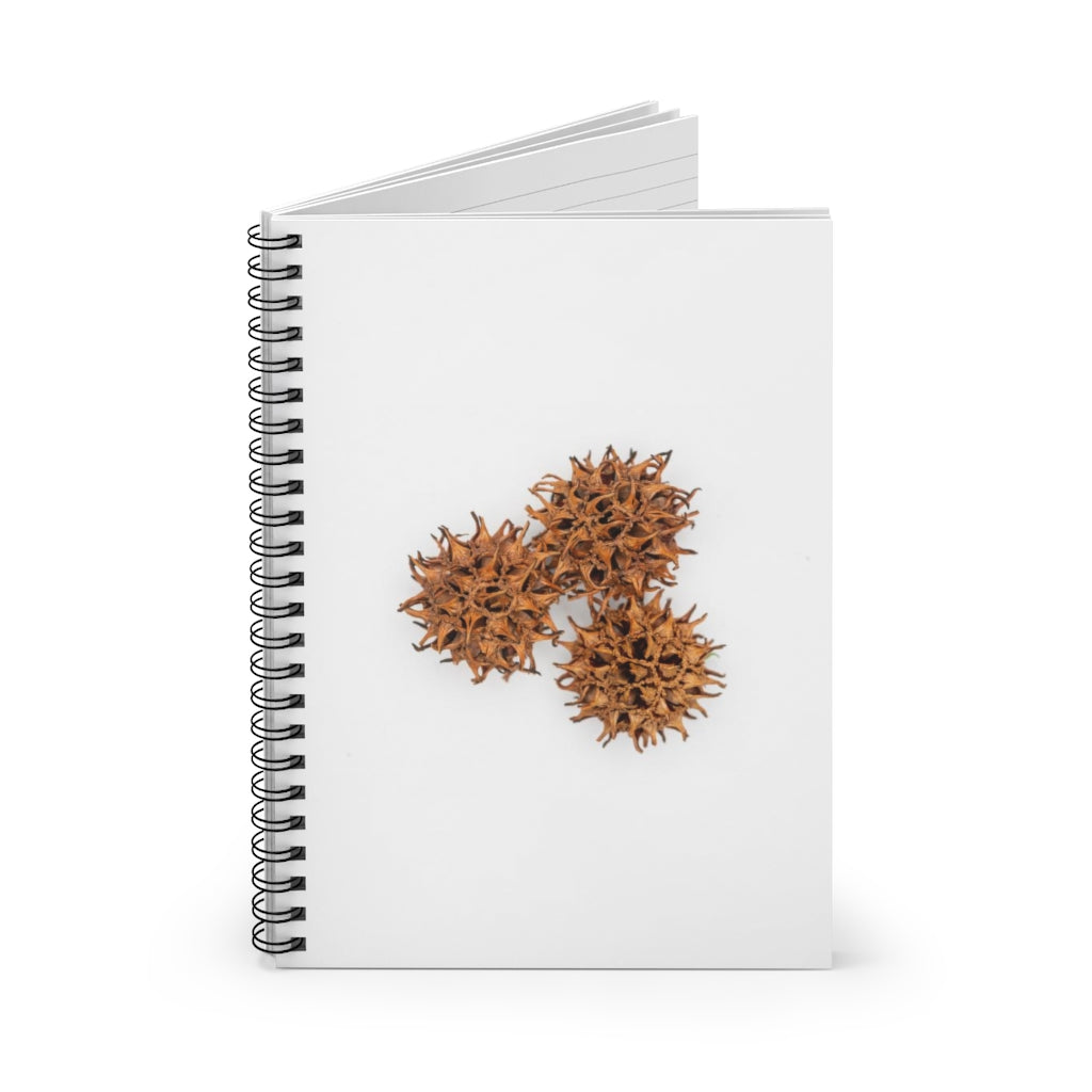 Spiky Spiral Ruled Notebook